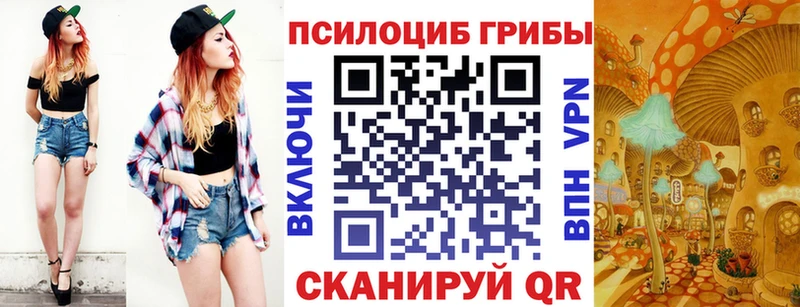 Купить где  Сертолово  Галлюциногенные грибы Psilocybe 